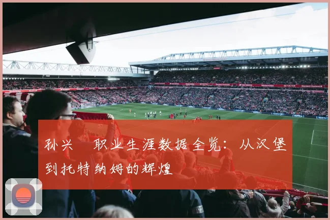 孙兴慜职业生涯数据全览:从汉堡到托特纳姆的辉煌