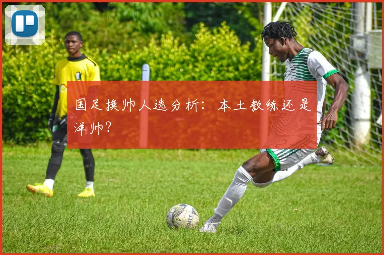 国足换帅人选分析:本土教练还是洋帅?