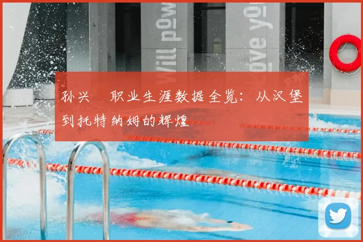 孙兴慜职业生涯数据全览：从汉堡到托特纳姆的辉煌